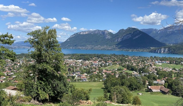 ST JORIOZ, Spacieuse Villa, Vue lac, 6000M2 de terrain 16 PERS.