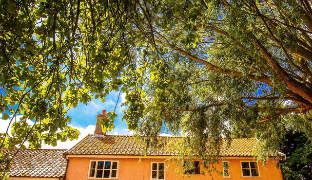 ST MICHAEL'S COTTAGE, pet friendly in St Michael South Elmham