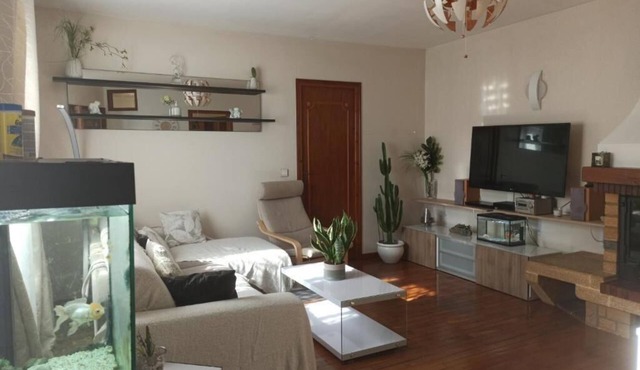 Stade de France, Olympic swimming pool, Stade Arena. 130m house with free parking