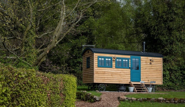 Stag Shepherd's Hut/Chatsworth Estate