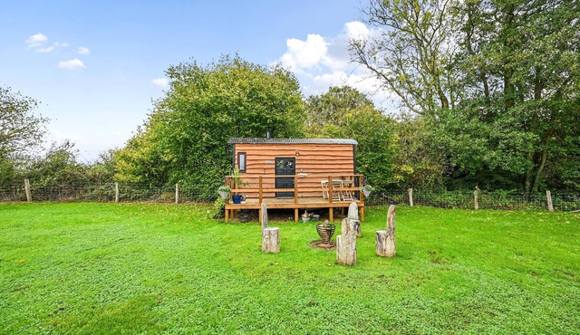 Stag Shepherds Hut - a holiday let that sleeps 4 guests in 1 bedroom