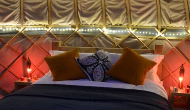 Stamford Meadows Glamping - Orchard Yurt Site with Hot Tub