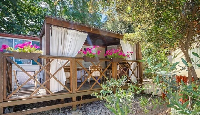 Standard Mobile Home 1