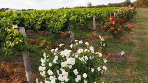 Stanthorpe Heritage Estate