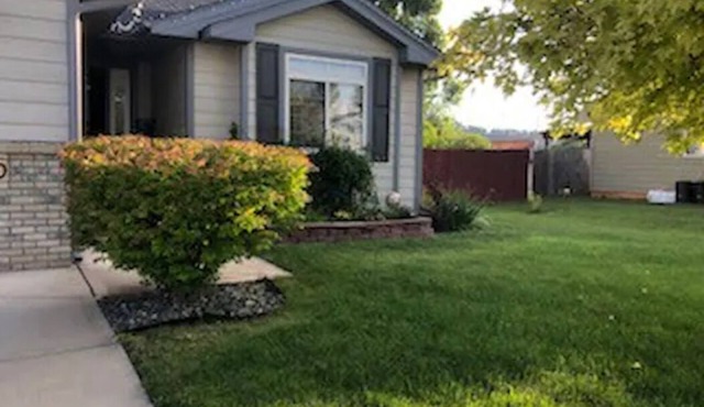 Star of the Neighborhood