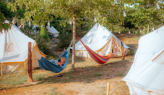 Star Surf Camps