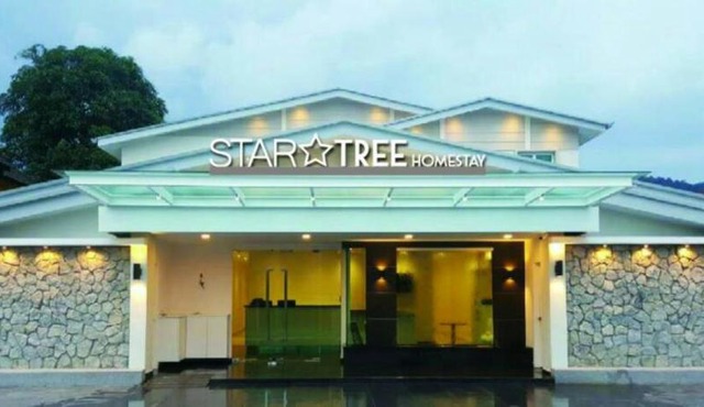 Star Tree Homestay - Self Check in