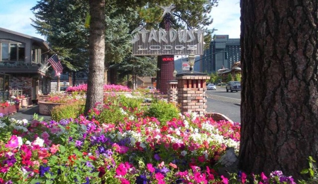 Stardust - Tahoe - Spacious 1 Bedroom W/Partial Kitchen