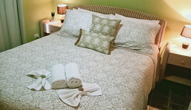 STARFISH ON STRADDIE