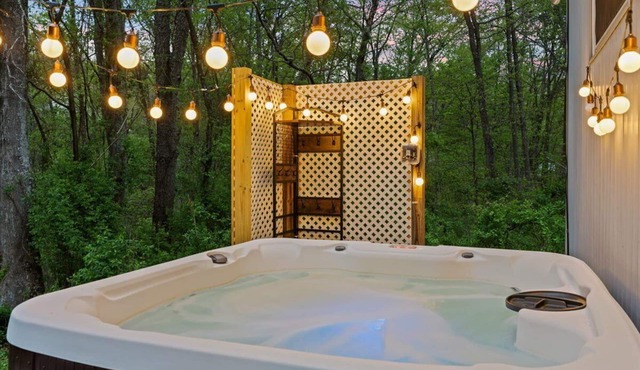 Stargaze from Hot Tub Pet-Friendly Mtn Cabin