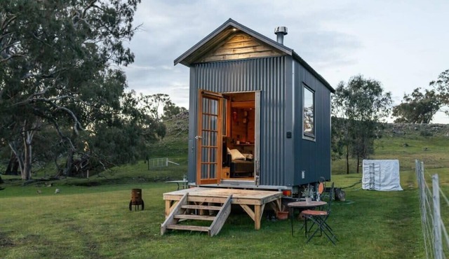 Stargazer by Tiny Away