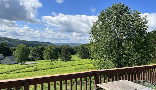 Stargazer - Great views, convenient to CDP