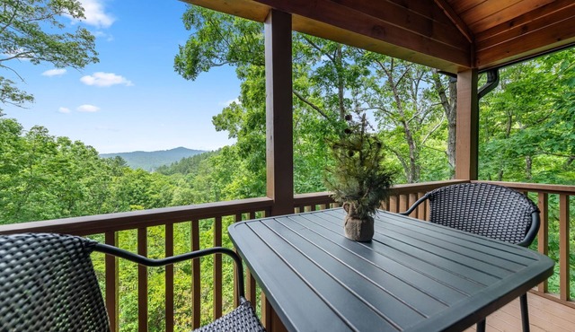 Stargazer - Mineral Bluff