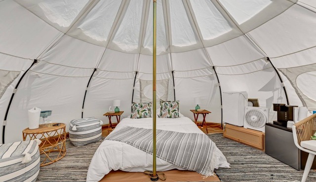 Stargazer Tent on Ischua Creek @ Campground Adventures