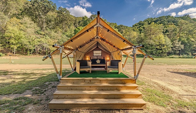 Stargazing Paradise:Luxury Tent|Pet-Friendly