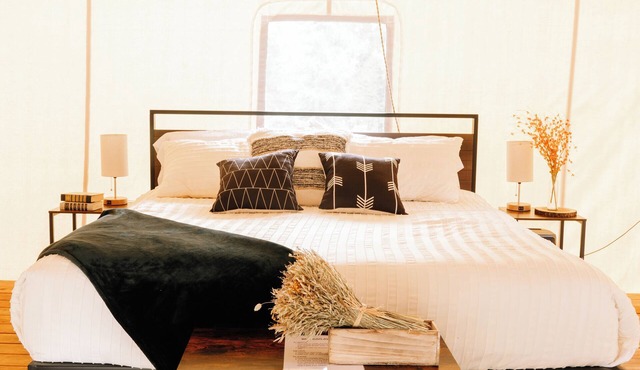 Starlight Retreat Yellowstone