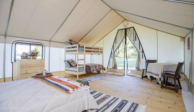 Starlit Nights during Nature’s Cozy Retreat