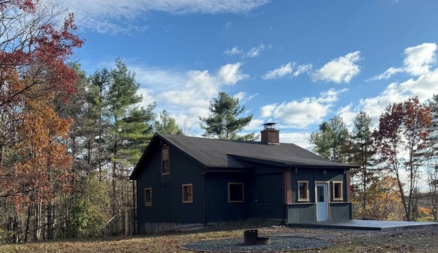Starry Night Retreat cabin w/2 bedroom plus loft retreat on 5 acres of solitude