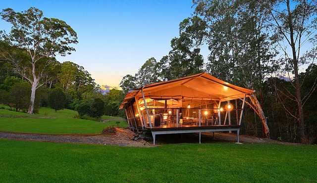 Starry Nights Luxury Camping - OPENING SPECIAL