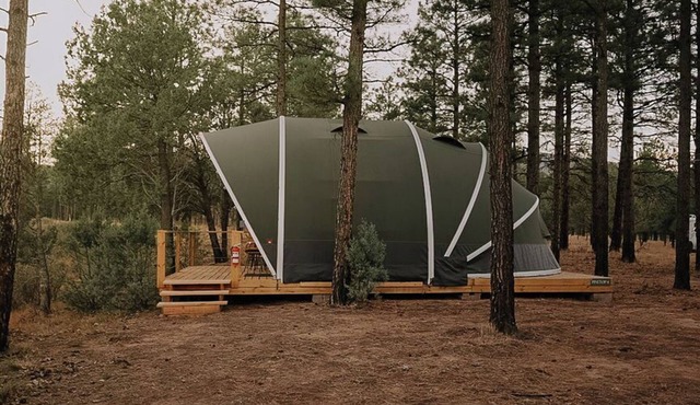 Starry Skies & Fresh Air Glamping Escape