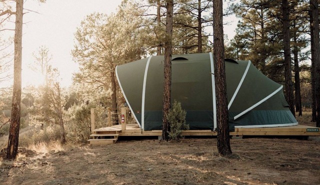 Starry Skies Glamping Escape
