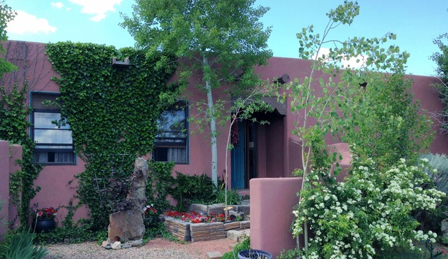 Starry, Starry Nights in Quiet Cozy Country Home with Pleasurable Amenities