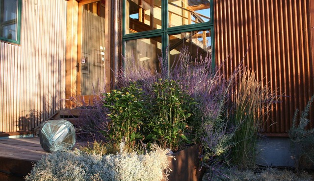 Stars and Serenity, Connection or Off Grid, welcome to Mission Meadows Retreat!