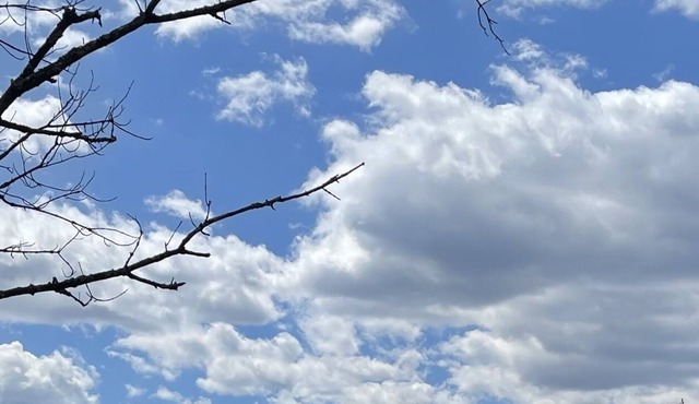 Starstone Hideaway, Mountain View, Rustic Elegance