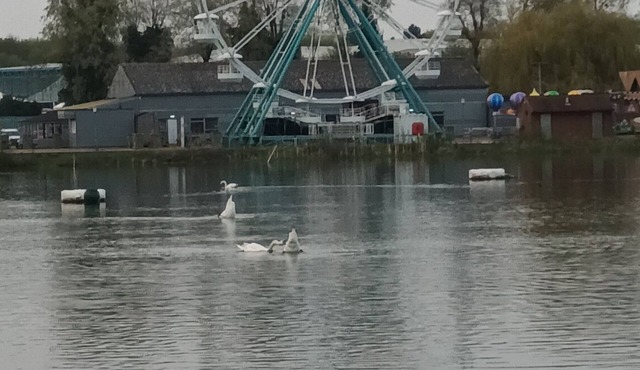 Static Holiday Home in Scenic Family Park