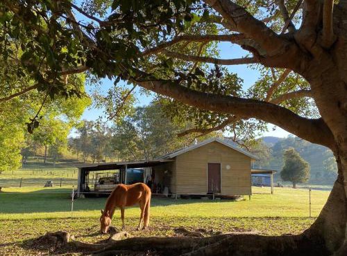 Stay at the Barn. Immerse yourself in nature.