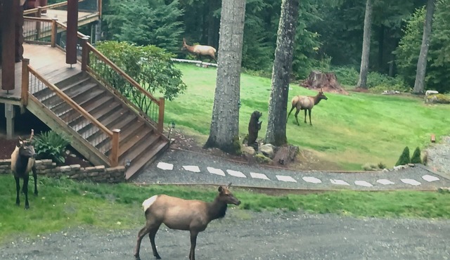 Stay at the Loft! Romantic, Quiet, Loads of Local Activities.