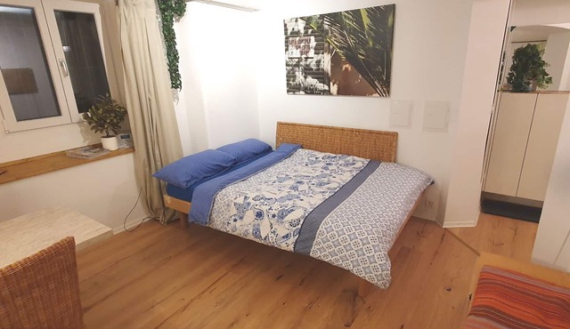 Stay in a stylish 1 room studio quiet central top location, 10 min to the center