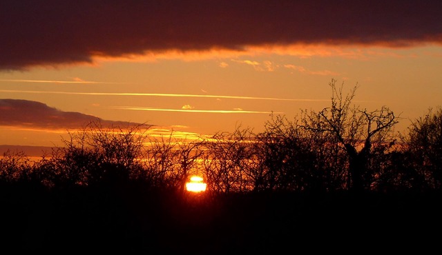 Stay in a traditional Gypsy Caravan close to Glastonbury in a private orchard