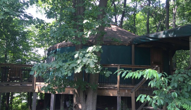 Stay In A Yurt! Secluded And Wooded Acreage On A Lake! Lawton Mi