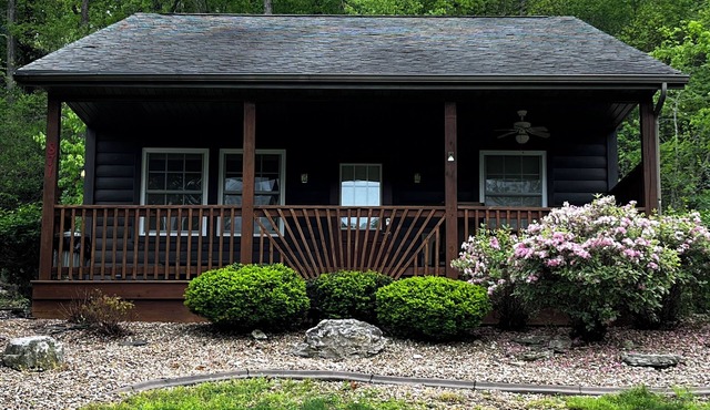 Stay in cozy cabin 2 off of Lake of the Ozarks in beautiful Sunrise Beach, MO