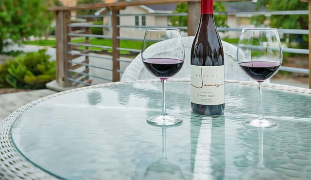 Stay in Downtown Dunedin Walk Everywhere