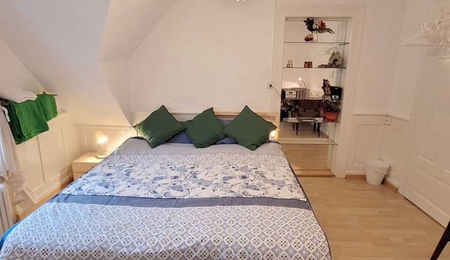 Stay in style central 3 room App at the Gertrud Schlössli 10 min to Old town