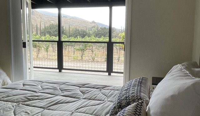Stay in the Vineyard with Wrap-around Deck with Animals & Farm minutes from town