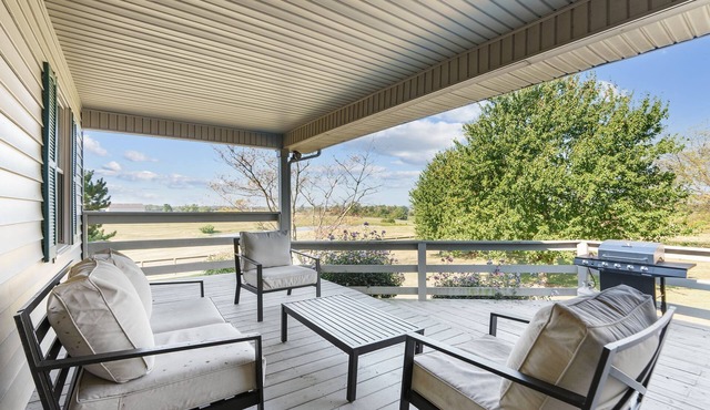Stay on a working horse farm in Paris, KY