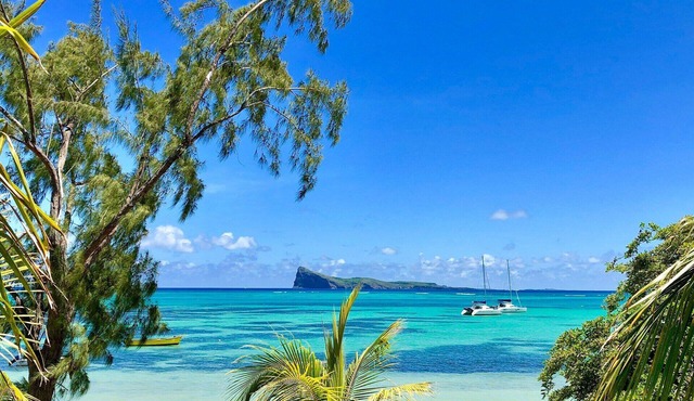 Stay on the Bay at this beautiful Room!