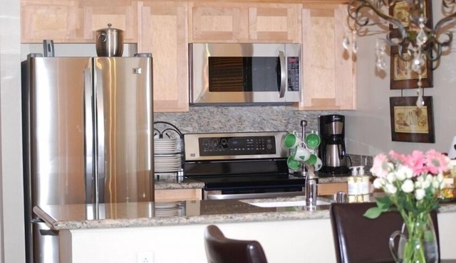 STAY SLOPESIDE 5 Star Luxury! True Winter Ski In & Ski Outn