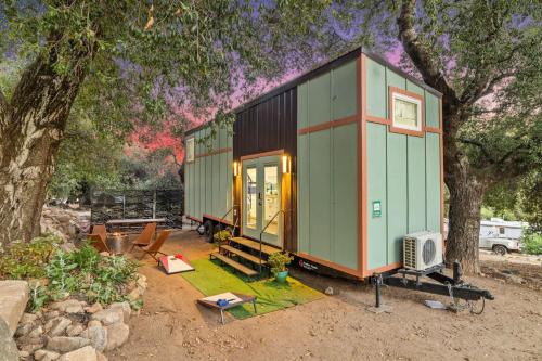 Stay Tiny Palomar - Tiny One