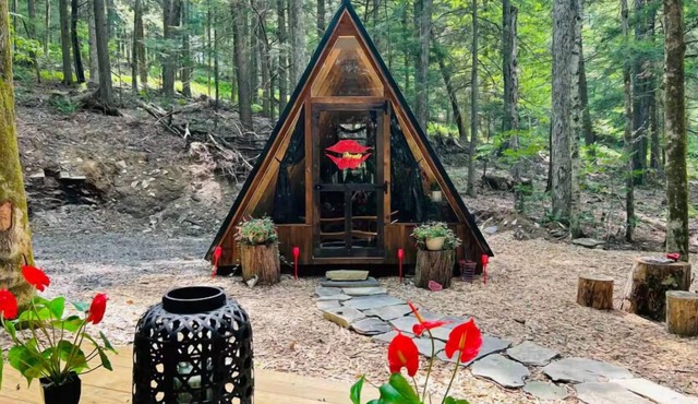 Stay Wild - Upscale Glamping in NY