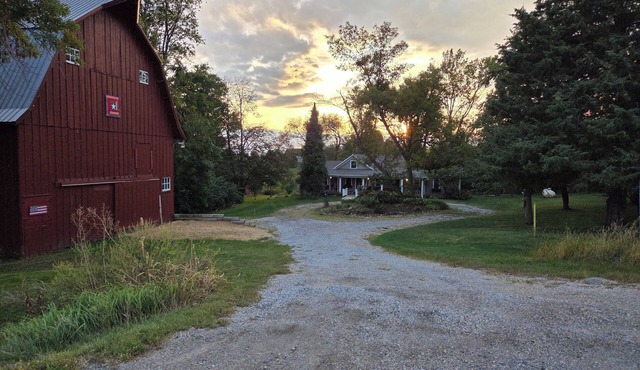 Staying at this Country Retreat Supports a Nonprofit Animal Rescue