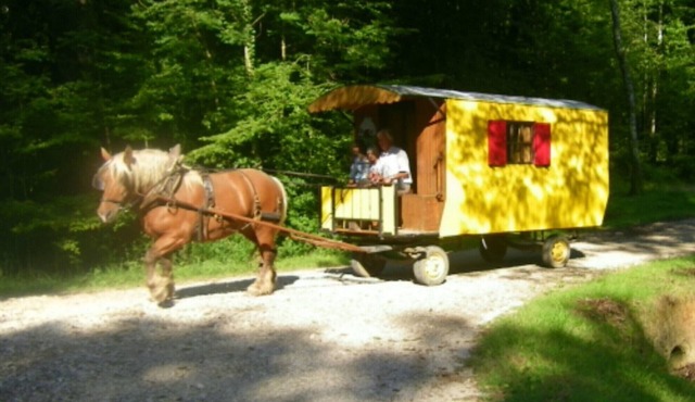 STAYS IN ROULOTTE WITH HORSE "DISCOVERY OF THE VAL OF LOVE" AND ROOMS D HOTES
