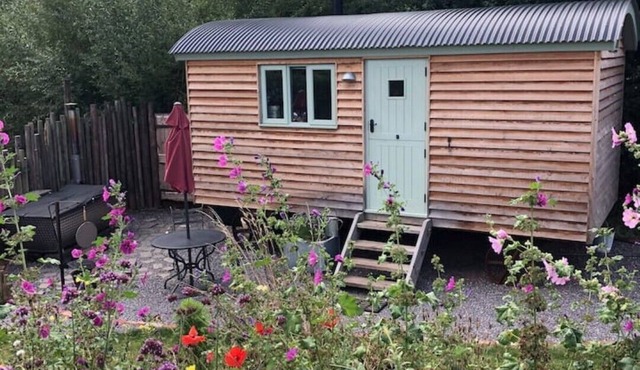 Steam & Stars Luxury Glamping -Willow shepherd hut