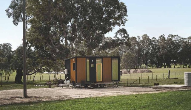 Stella at Sheltered Paddock by Tiny Away