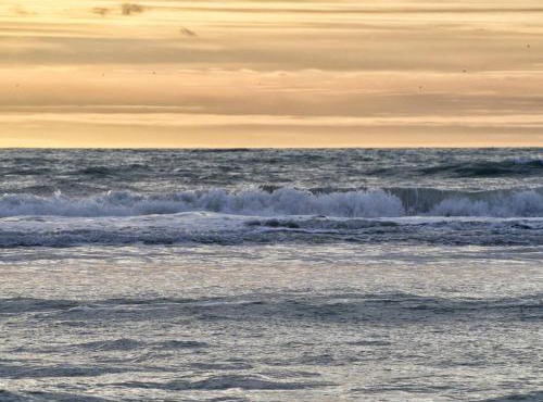 Stella le Touquet Berck T2