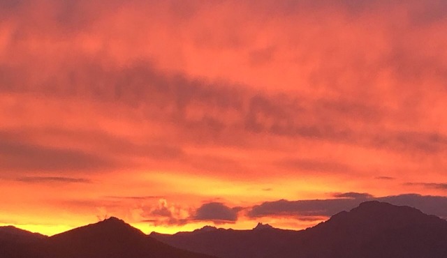 Stella marina apartment facing port and beach, swimming pool.