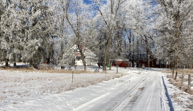 Step back in time at Clarence's Place retreat, our little farm in the woods.
